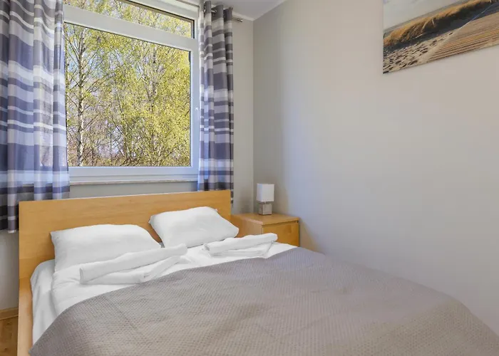 Borcharda, Sun & Snow *